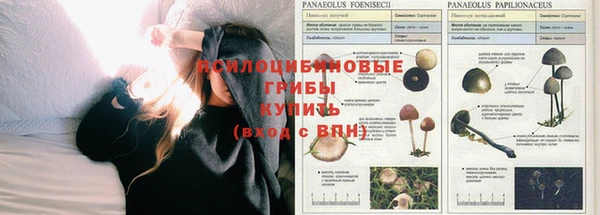 2c-b Беломорск