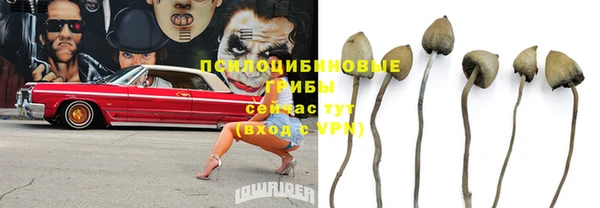 эйфоретик Баксан