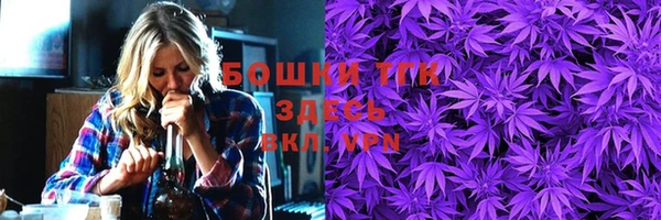 шишки Белоозёрский