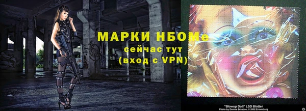 шишки Белоозёрский