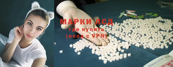 шишки Белоозёрский